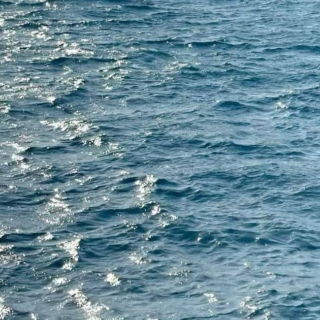 Marine Notes