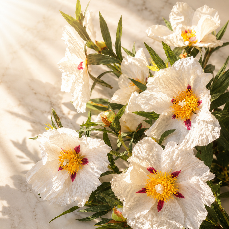 Golden Labdanum