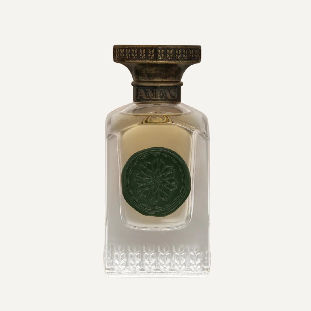ANFAS - Gaya