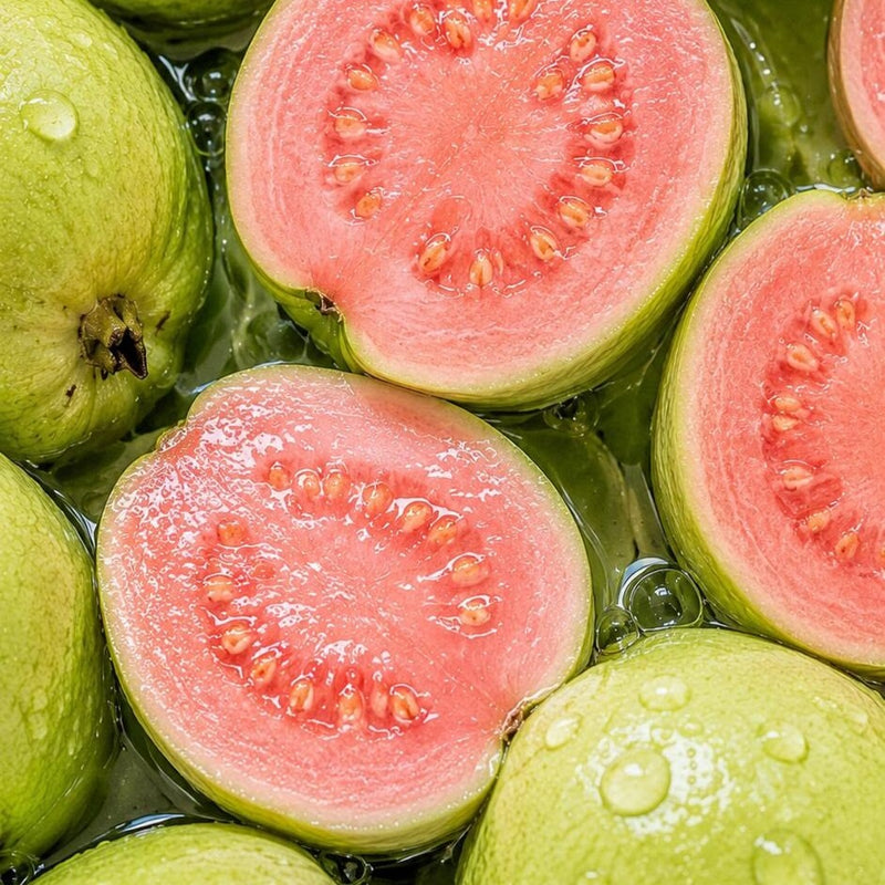 Tropical Guava