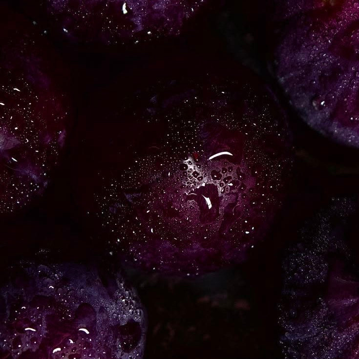 Dark Plum