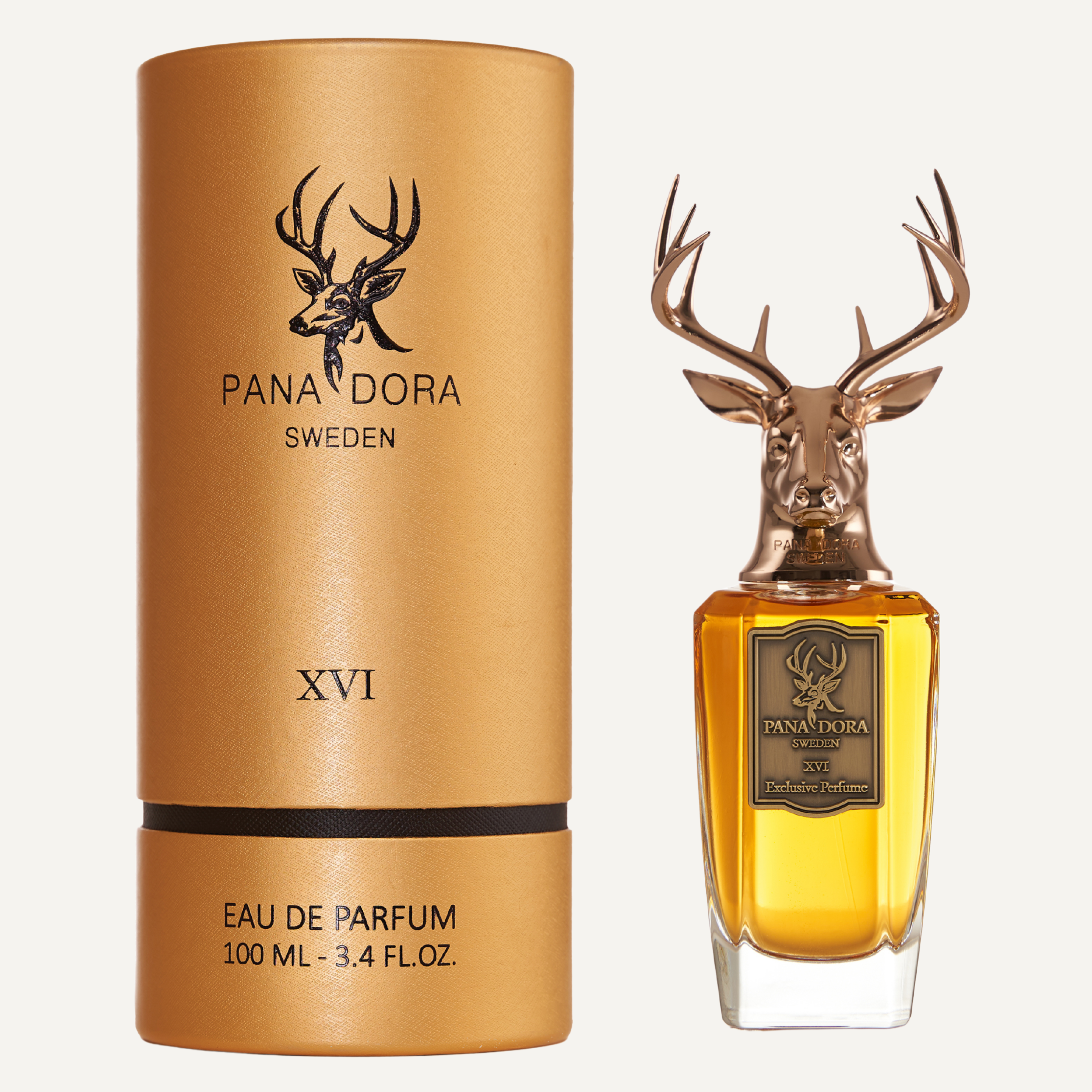 Pana Dora - XVI