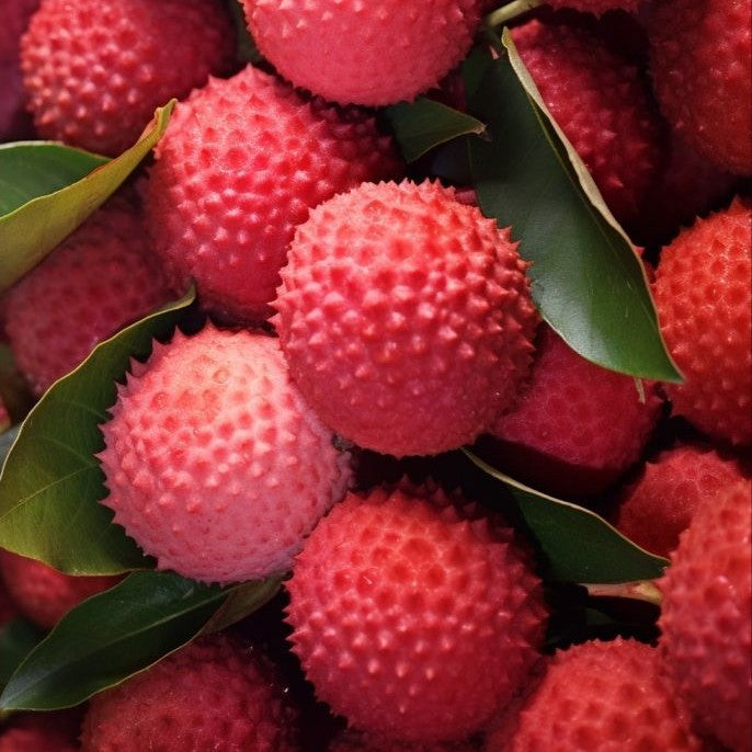 Radiant Litchi