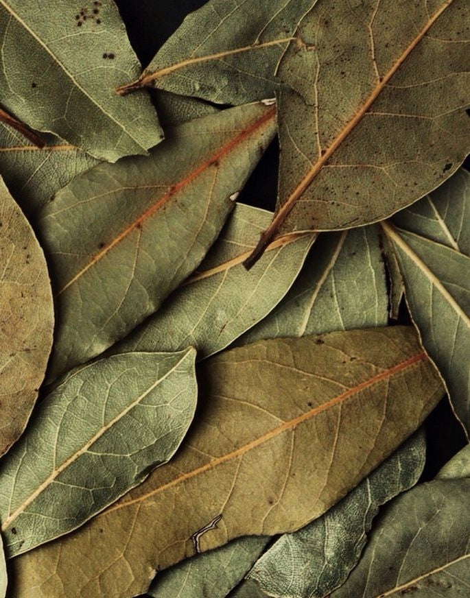 Aromatic Bay Leaf