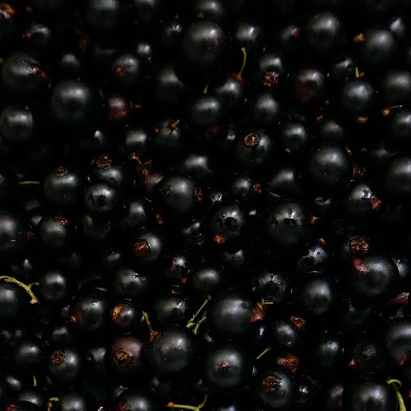 Rich Black Currant