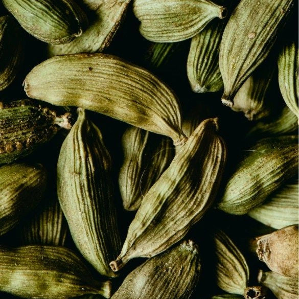 Warm Cardamom