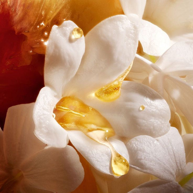 Sweet Orange Blossom