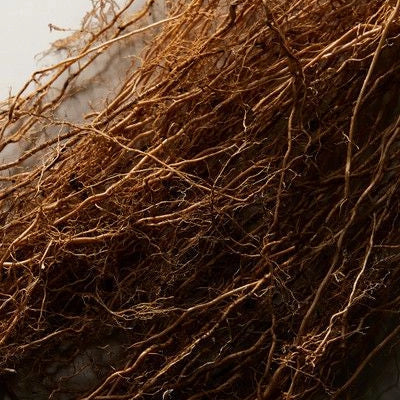 Earthy Vetiver
