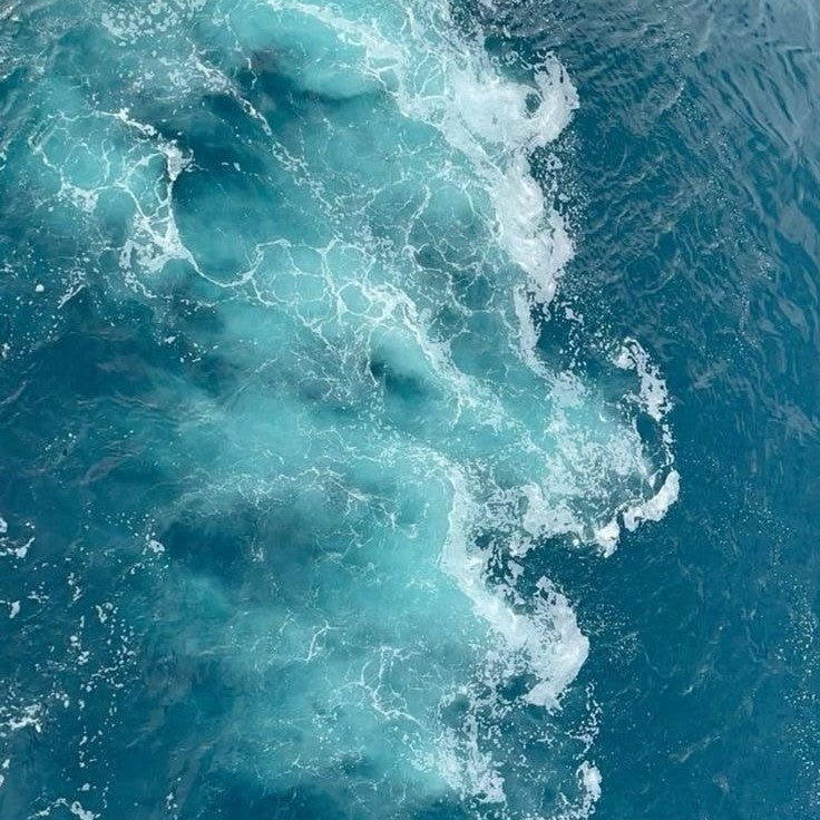 Playful Sea Notes